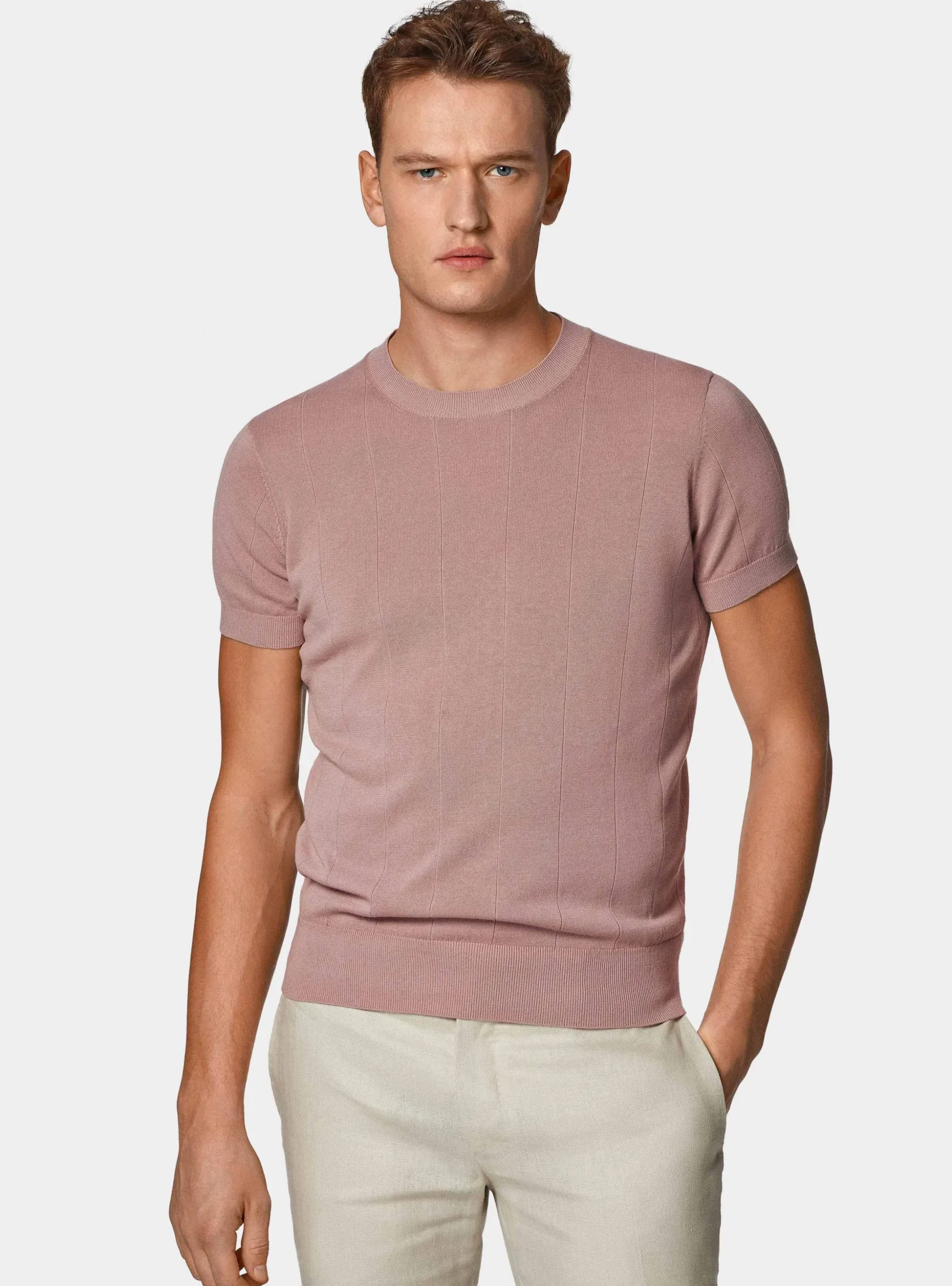 Maglia in puro cotone costa piatta